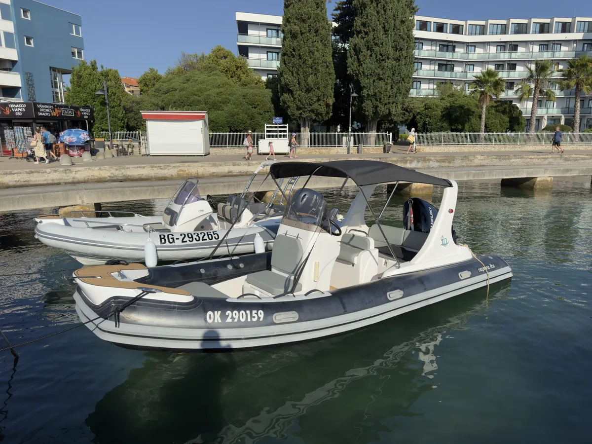 Neptune ribs 580 — Bimini #8